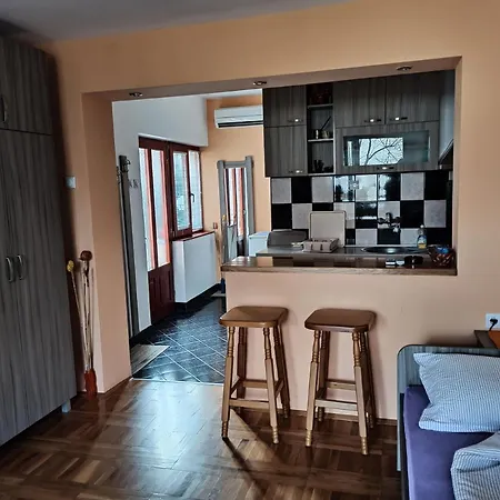 Apartman Ristic Niska Banja Exterior foto