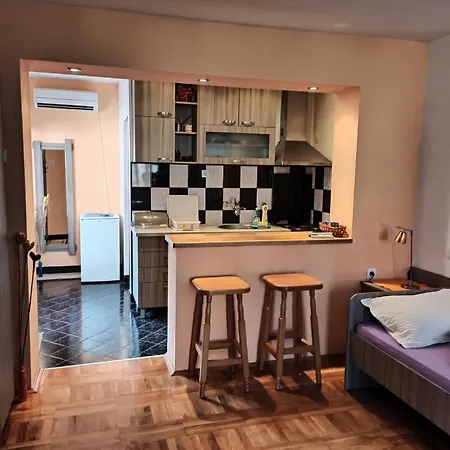 Apartman Ristic Niska Banja Exterior foto