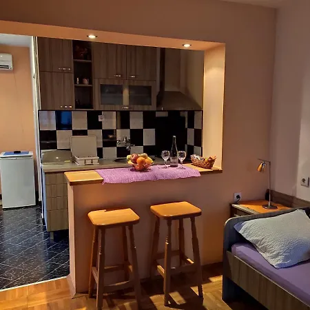 Apartman Ristic Niska Banja Exterior foto