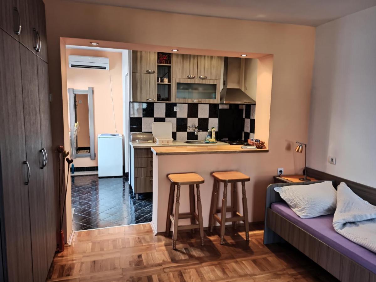 Apartment Ristic Niska Banja